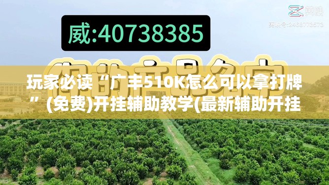 玩家必读“广丰510K怎么可以拿打牌”(免费)开挂辅助教学(最新辅助开挂教程)
