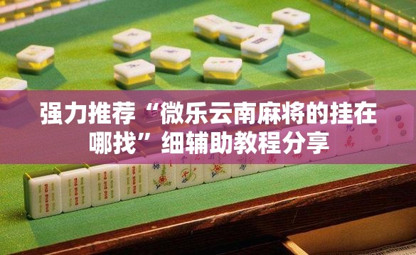 强力推荐“微乐云南麻将的挂在哪找”细辅助教程分享