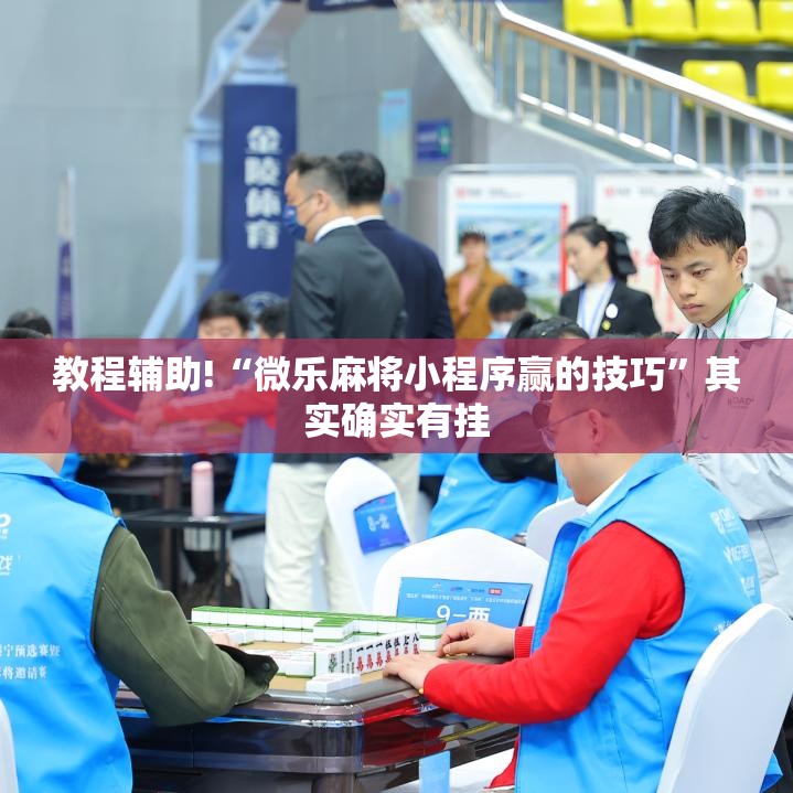 教程辅助!“微乐麻将小程序赢的技巧”其实确实有挂
