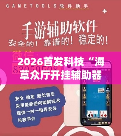 2026首发科技“海草众厅开挂辅助器通用版”(透视挂)辅助下载教程