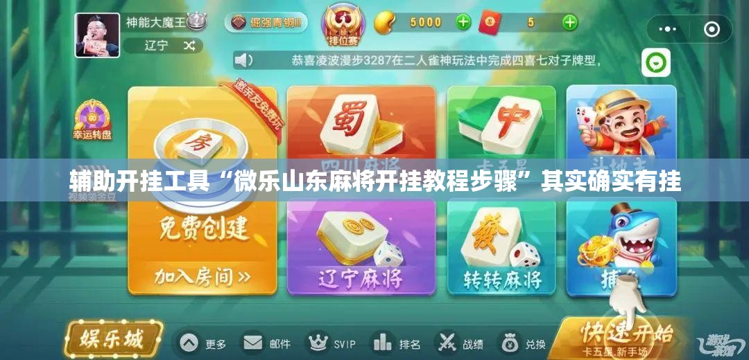辅助开挂工具“微乐山东麻将开挂教程步骤	”其实确实有挂