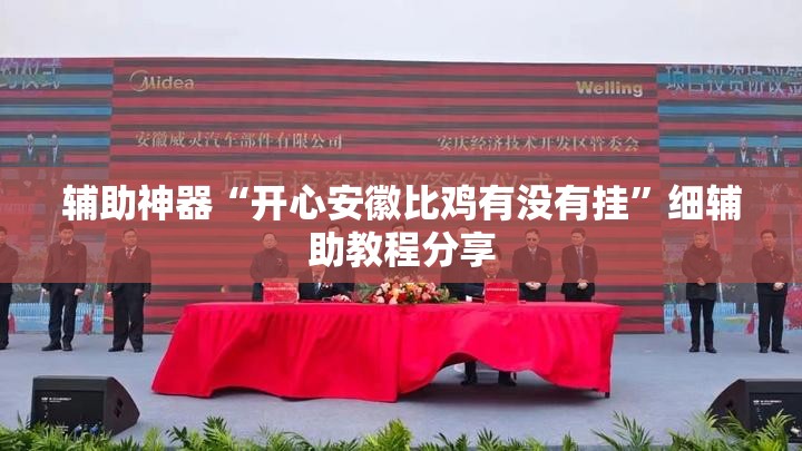 辅助神器“开心安徽比鸡有没有挂”细辅助教程分享