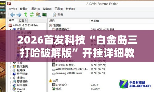2026首发科技“白金岛三打哈破解版	”开挂详细教程