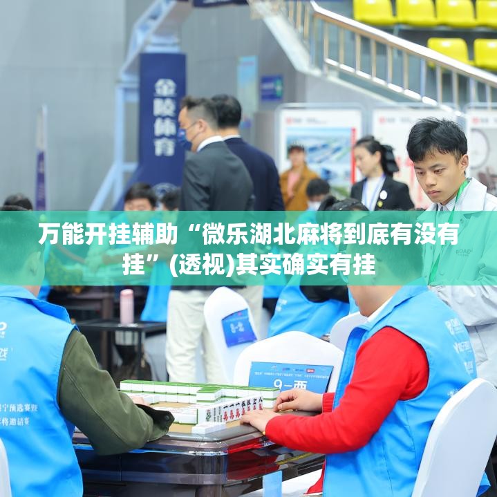 万能开挂辅助“微乐湖北麻将到底有没有挂”(透视)其实确实有挂