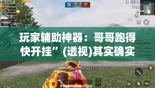 玩家辅助神器：哥哥跑得快开挂”(透视)其实确实有挂