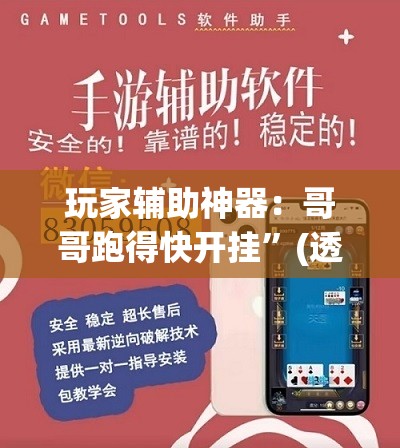 玩家辅助神器：哥哥跑得快开挂”(透视)其实确实有挂