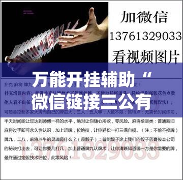 万能开挂辅助“微信链接三公有挂吗	”(透视)其实确实有挂