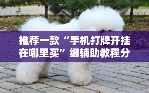 推荐一款“手机打牌开挂在哪里买”细辅助教程分享