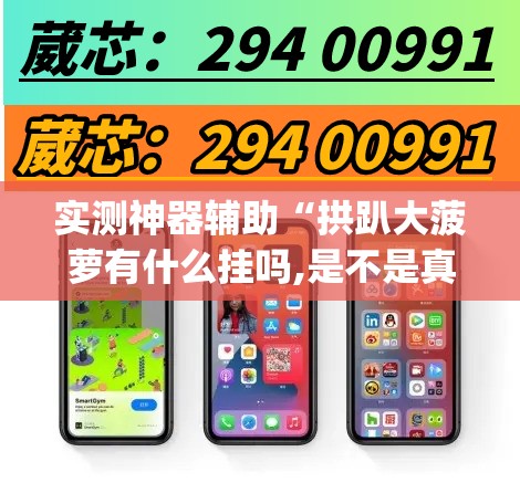 实测神器辅助“拱趴大菠萝有什么挂吗,是不是真的(透视)”开挂辅助脚本+详细开挂安装教程
