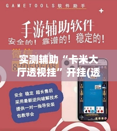 实测辅助“卡米大厅透视挂	”开挂(透视)辅助教程