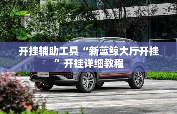 开挂辅助工具“新蓝鲸大厅开挂”开挂详细教程