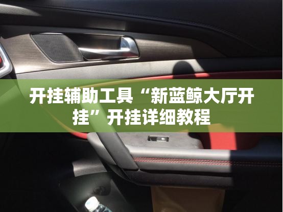 开挂辅助工具“新蓝鲸大厅开挂”开挂详细教程