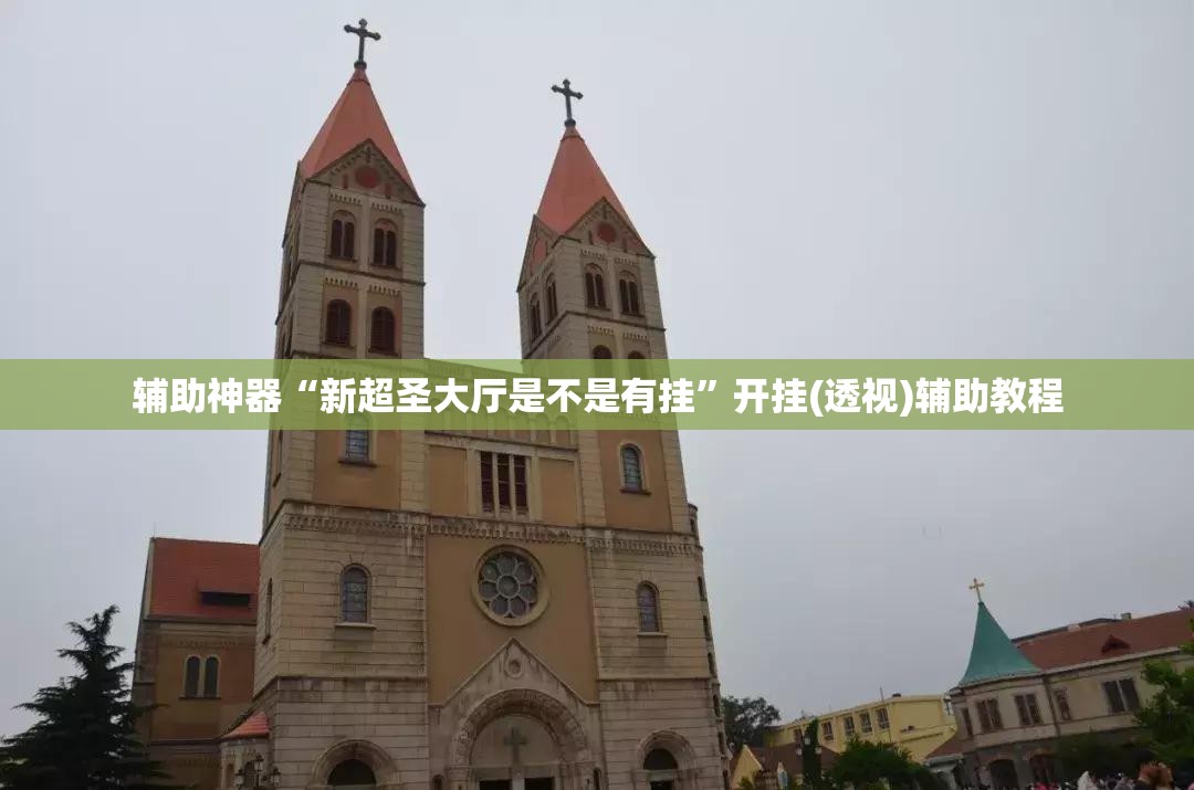 辅助神器“新超圣大厅是不是有挂”开挂(透视)辅助教程