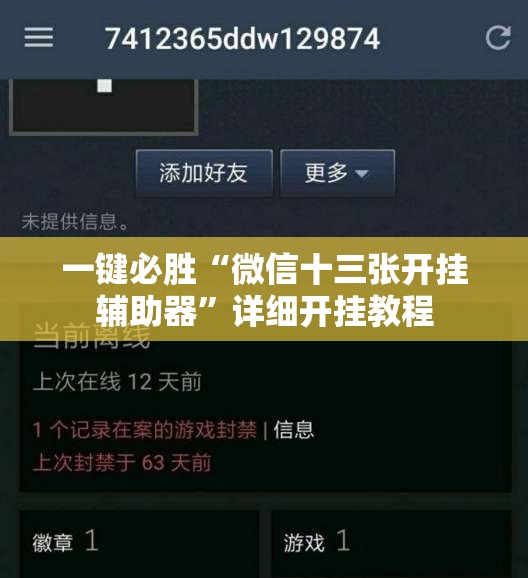 一键必胜“微信十三张开挂辅助器	”详细开挂教程