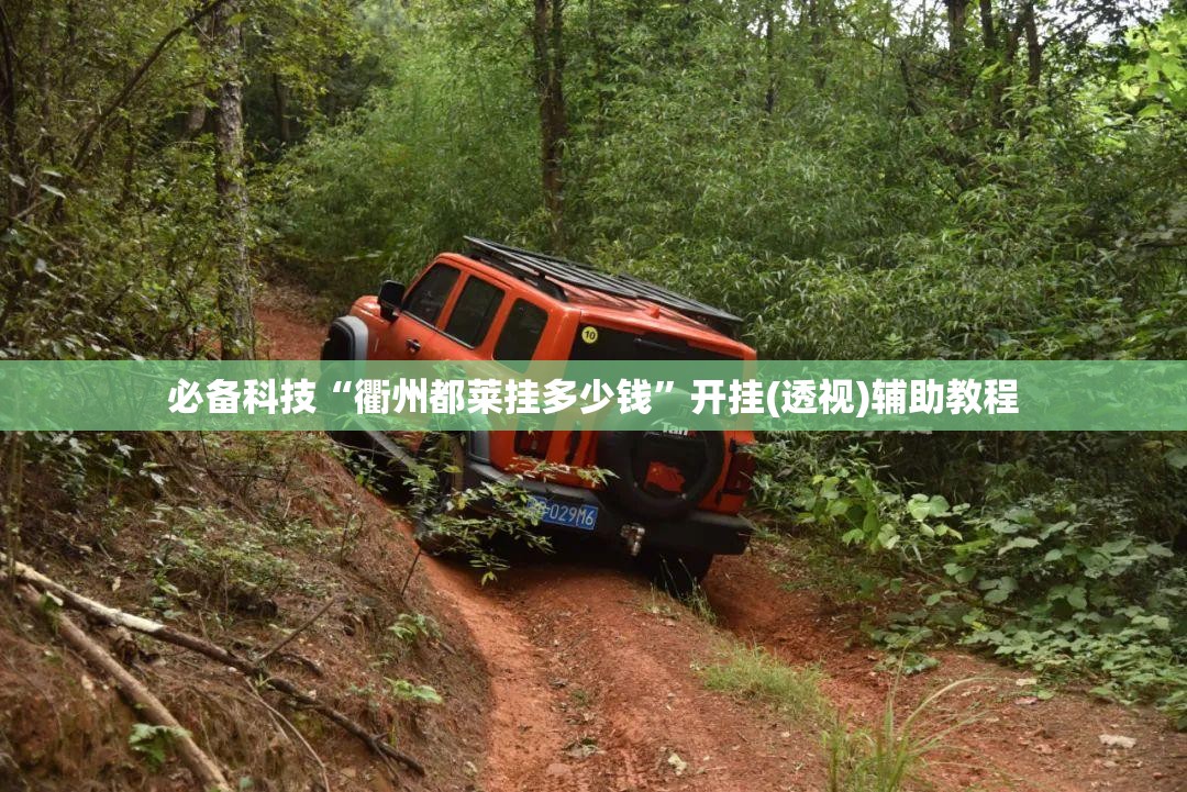 必备科技“衢州都莱挂多少钱	”开挂(透视)辅助教程