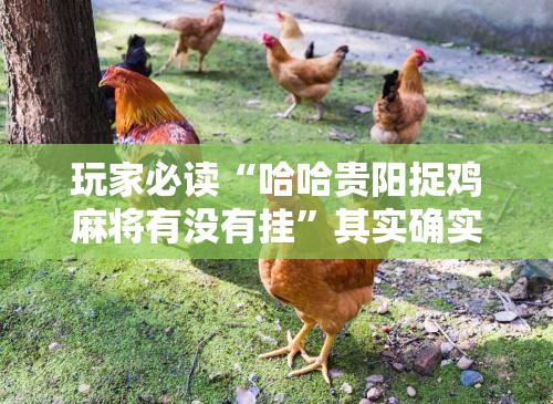 玩家必读“哈哈贵阳捉鸡麻将有没有挂	”其实确实有挂