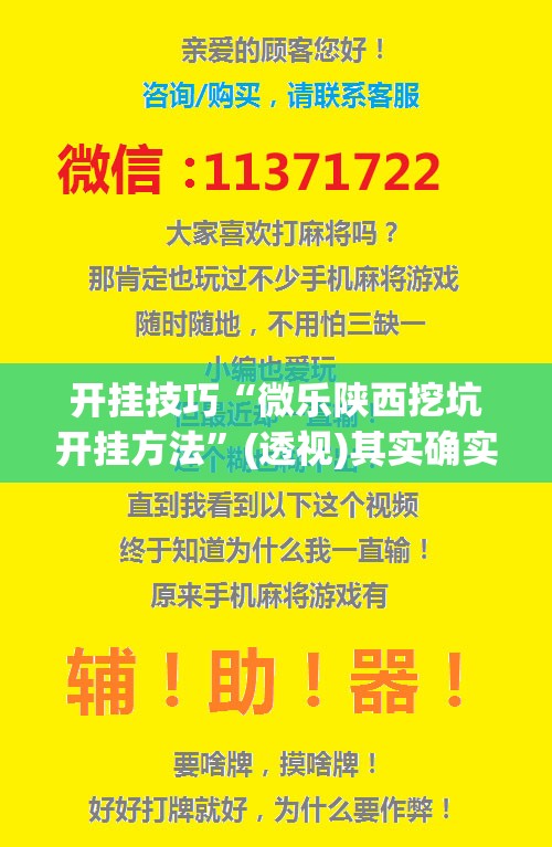 开挂技巧“微乐陕西挖坑开挂方法”(透视)其实确实有挂