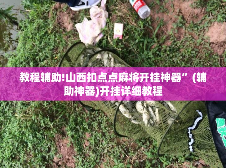 教程辅助!山西扣点点麻将开挂神器”(辅助神器)开挂详细教程