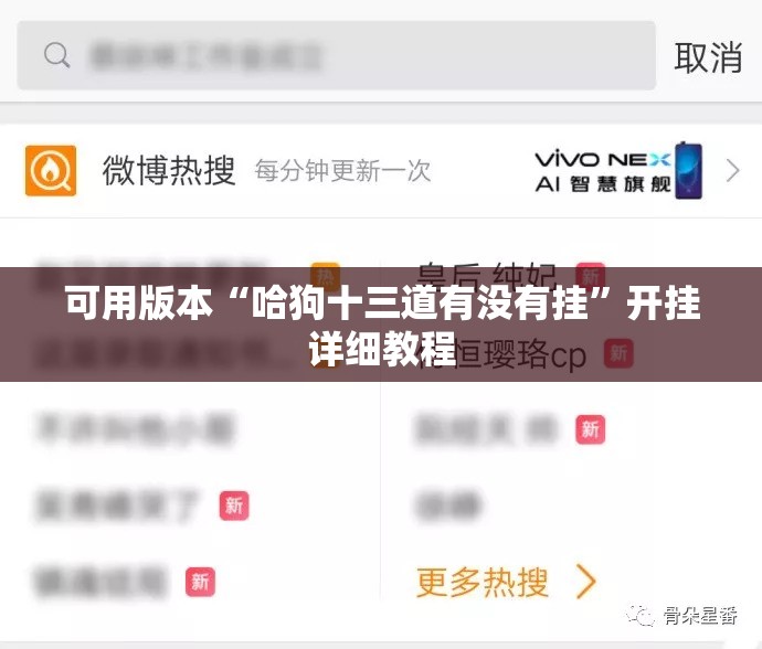 可用版本“哈狗十三道有没有挂”开挂详细教程