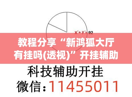 教程分享“新鸿狐大厅有挂吗(透视)”开挂辅助脚本+详细开挂安装教程