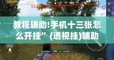 教程辅助!手机十三张怎么开挂	”(透视挂)辅助下载教程