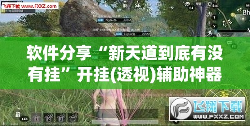 软件分享“新天道到底有没有挂”开挂(透视)辅助神器