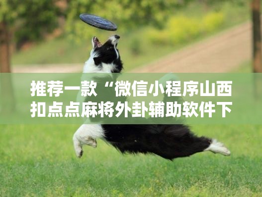 推荐一款“微信小程序山西扣点点麻将外卦辅助软件下载	”开挂详细教程