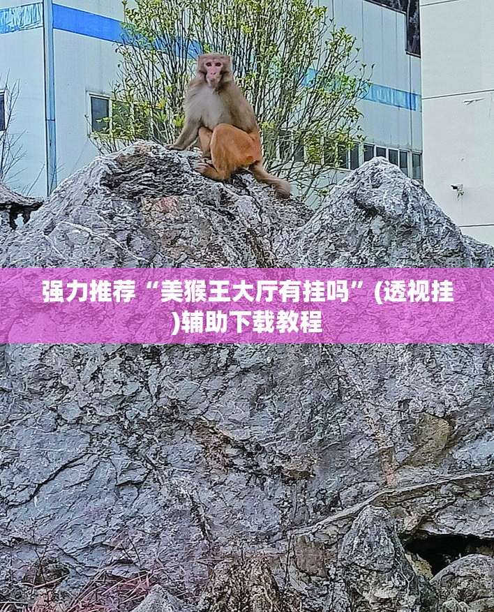 强力推荐“美猴王大厅有挂吗	”(透视挂)辅助下载教程