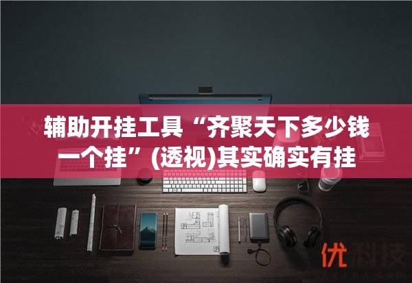 辅助开挂工具“齐聚天下多少钱一个挂”(透视)其实确实有挂
