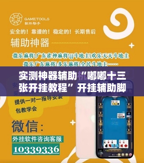 实测神器辅助“嘟嘟十三张开挂教程”开挂辅助脚本+详细开挂安装教程