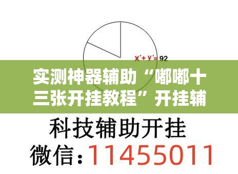 实测神器辅助“嘟嘟十三张开挂教程	”开挂辅助脚本+详细开挂安装教程