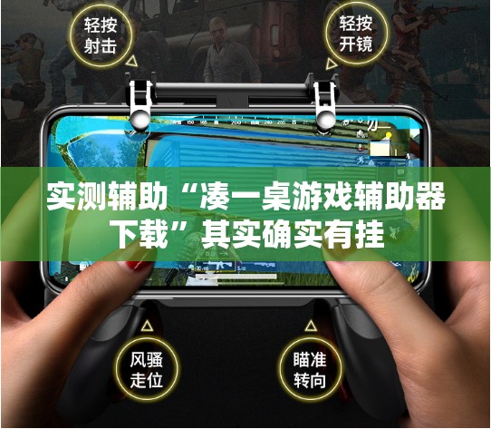 实测辅助“凑一桌游戏辅助器下载”其实确实有挂