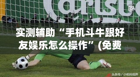 实测辅助“手机斗牛跟好友娱乐怎么操作	”(免费)开挂辅助教学(最新辅助开挂教程)