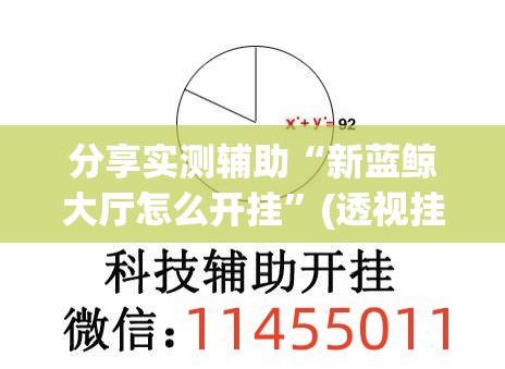 分享实测辅助“新蓝鲸大厅怎么开挂	”(透视挂)辅助下载教程