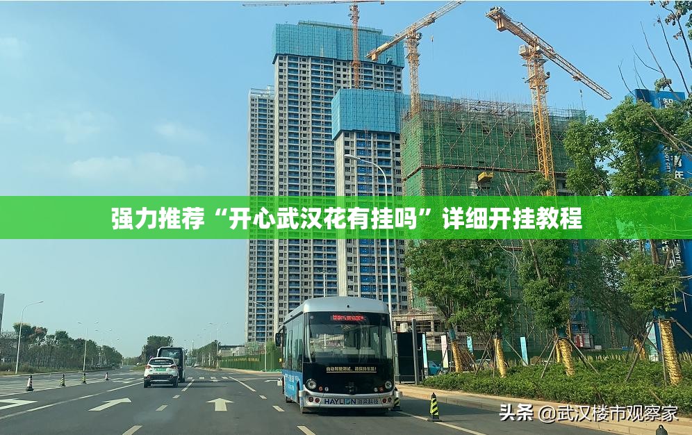 强力推荐“开心武汉花有挂吗”详细开挂教程