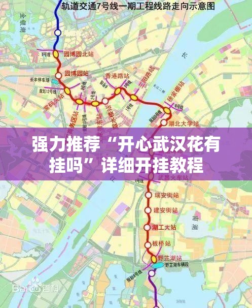强力推荐“开心武汉花有挂吗	”详细开挂教程