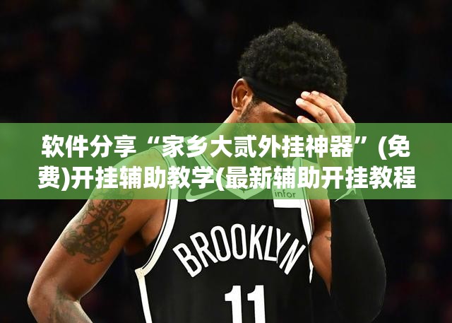 软件分享“家乡大贰外挂神器”(免费)开挂辅助教学(最新辅助开挂教程)