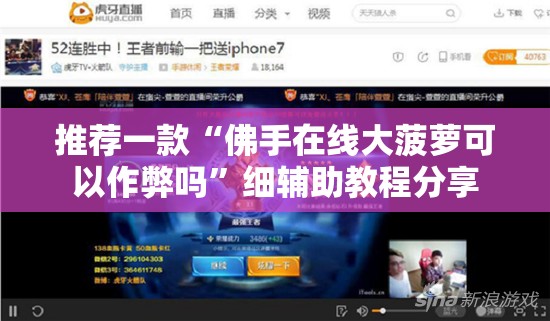 推荐一款“佛手在线大菠萝可以作弊吗”细辅助教程分享