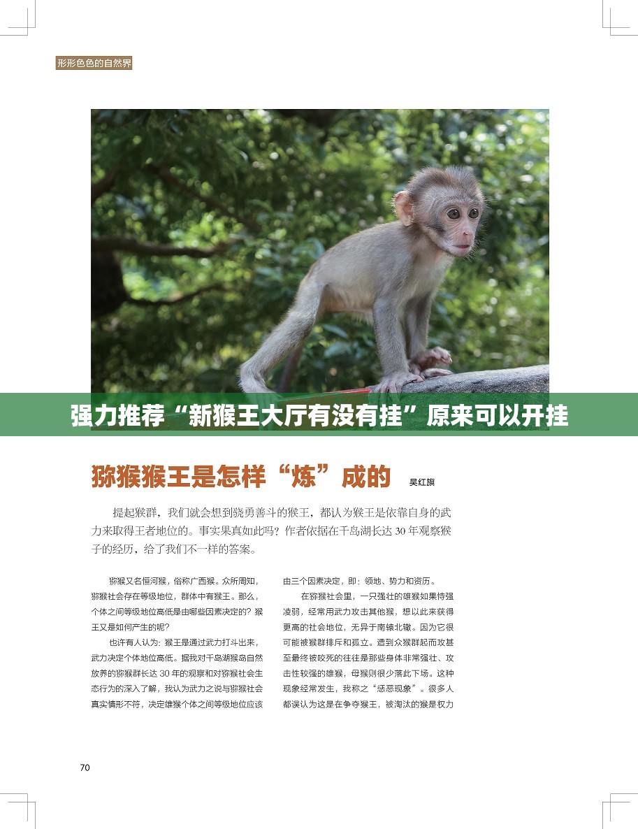 强力推荐“新猴王大厅有没有挂”原来可以开挂