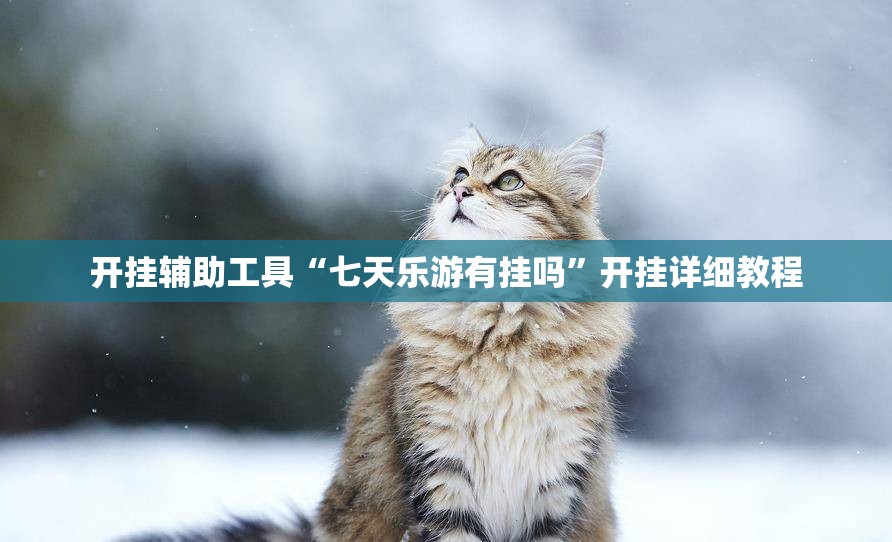 开挂辅助工具“七天乐游有挂吗”开挂详细教程