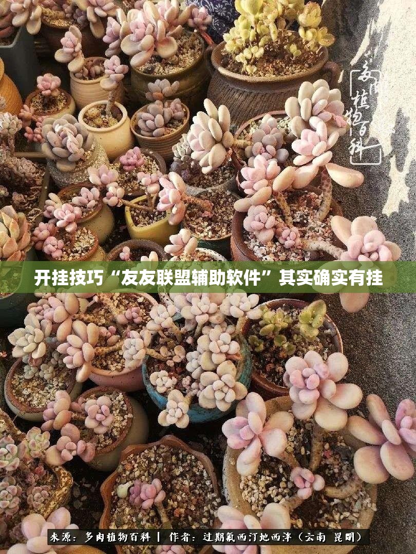 开挂技巧“友友联盟辅助软件	”其实确实有挂