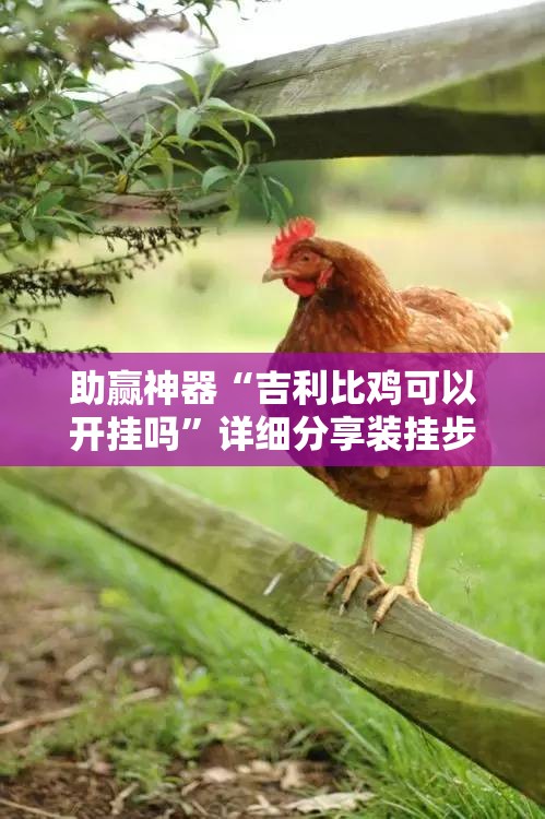 助赢神器“吉利比鸡可以开挂吗”详细分享装挂步骤