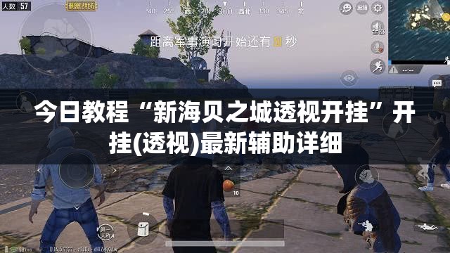 今日教程“新海贝之城透视开挂”开挂(透视)最新辅助详细