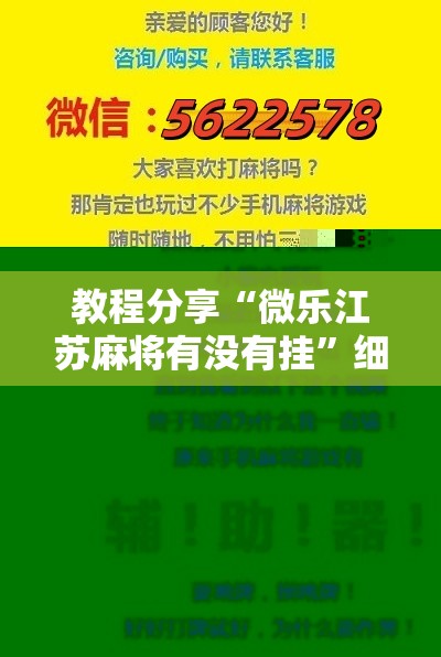 教程分享“微乐江苏麻将有没有挂”细辅助教程分享