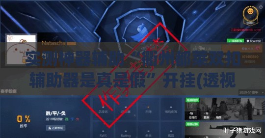 实测神器辅助“衢州都莱双扣辅助器是真是假”开挂(透视)辅助教程