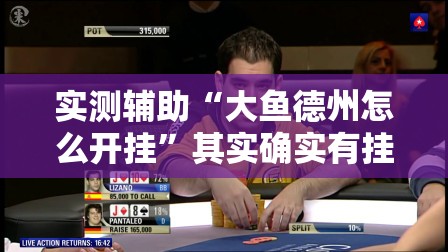 实测辅助“大鱼德州怎么开挂”其实确实有挂