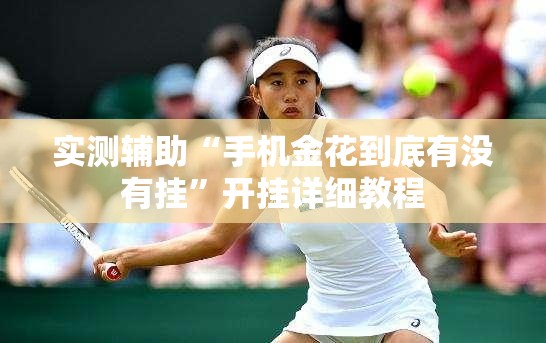 实测辅助“手机金花到底有没有挂”开挂详细教程