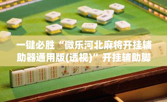 一键必胜“微乐河北麻将开挂辅助器通用版(透视)”开挂辅助脚本+详细开挂安装教程