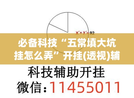 必备科技“五常填大坑挂怎么弄”开挂(透视)辅助教程