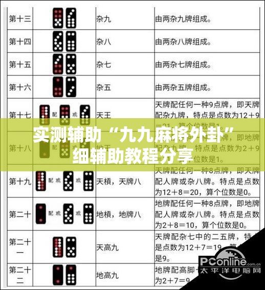实测辅助“九九麻将外卦”细辅助教程分享